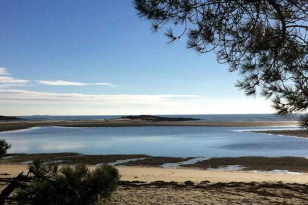Maison Avec Jardin Clos. Animaux Acceptes - Wifi - Proche Plages De La Trinite Sur Mer Et Carnac Kültér fotó